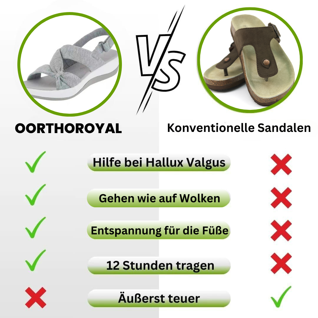 HikeHub - OrthoRoyal