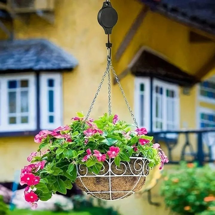 2+2 Free | Einfaches Pflanzen-Anhänger-Set