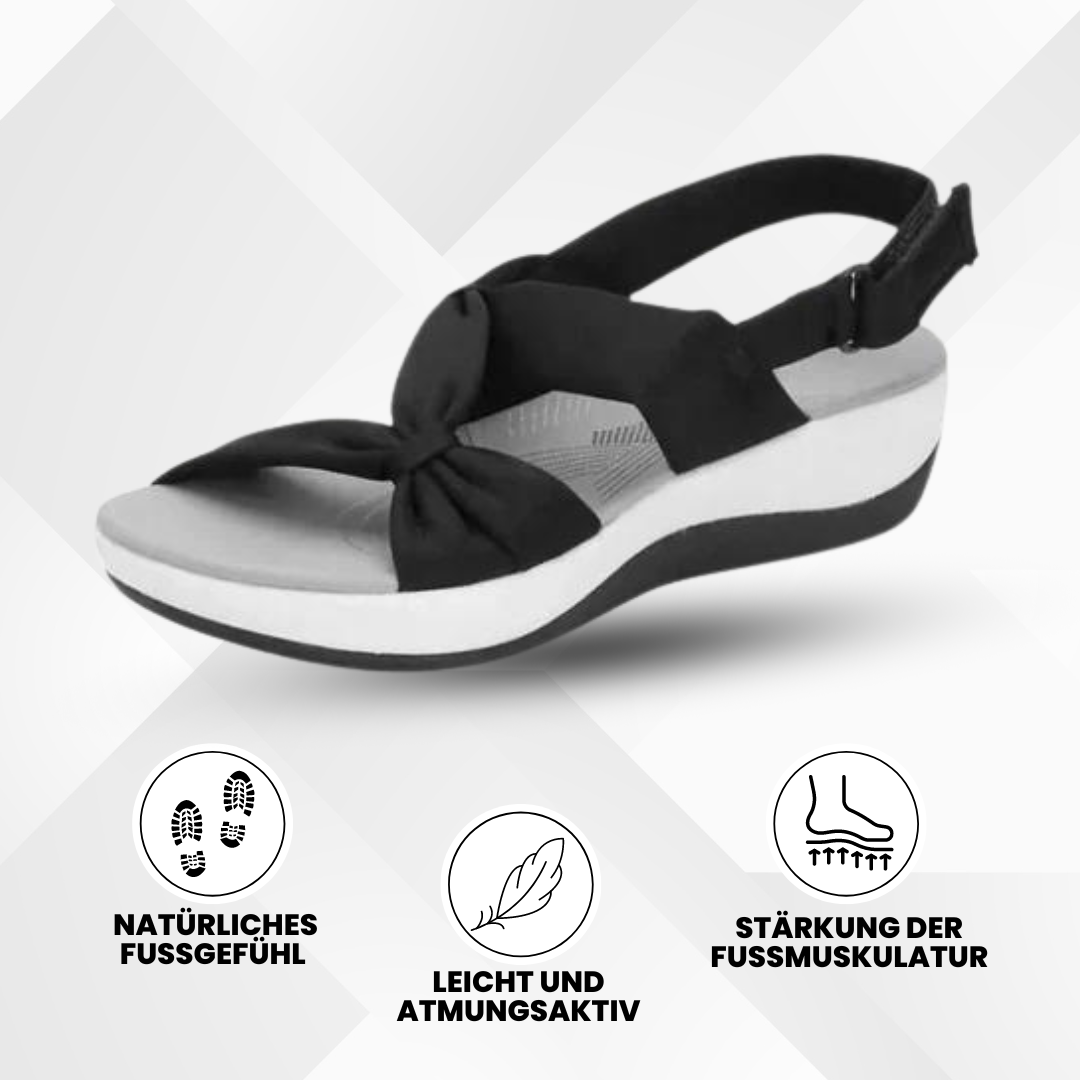 HikeHub - OrthoRoyal
