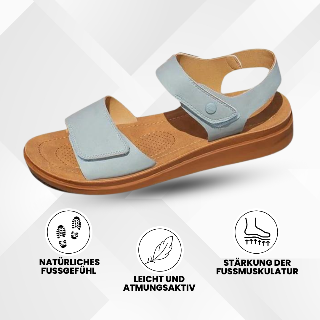 HikeHub - OrthoShine