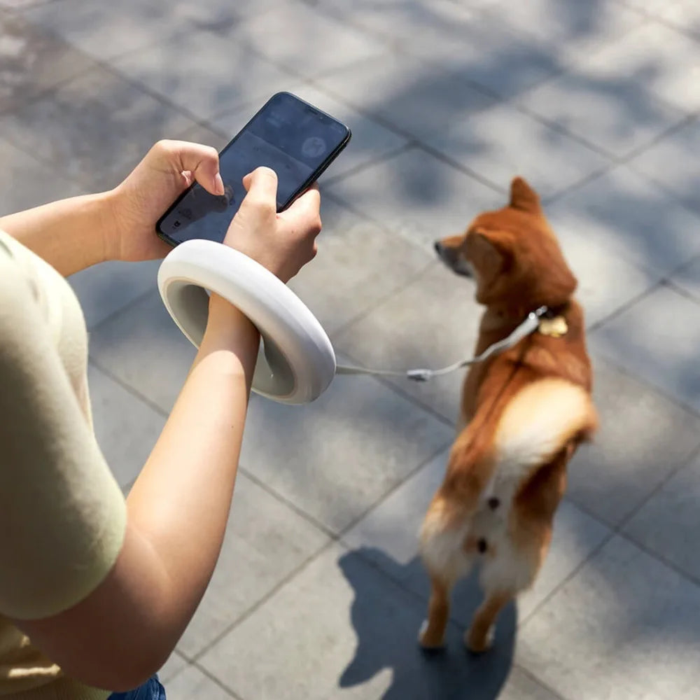 Verstellbare intelligente Leine - Ein verbessertes Spaziergangserlebnis für Hunde