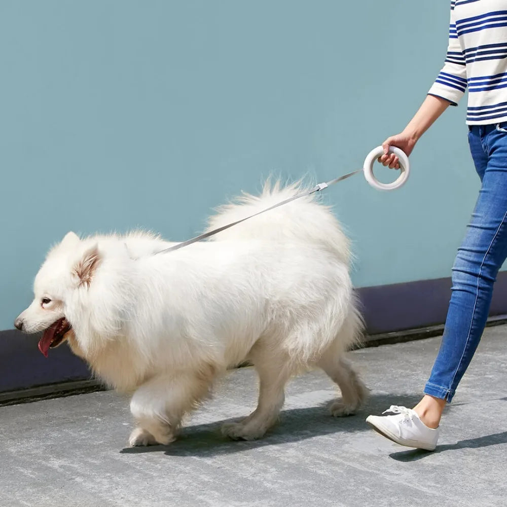 Verstellbare intelligente Leine - Ein verbessertes Spaziergangserlebnis für Hunde