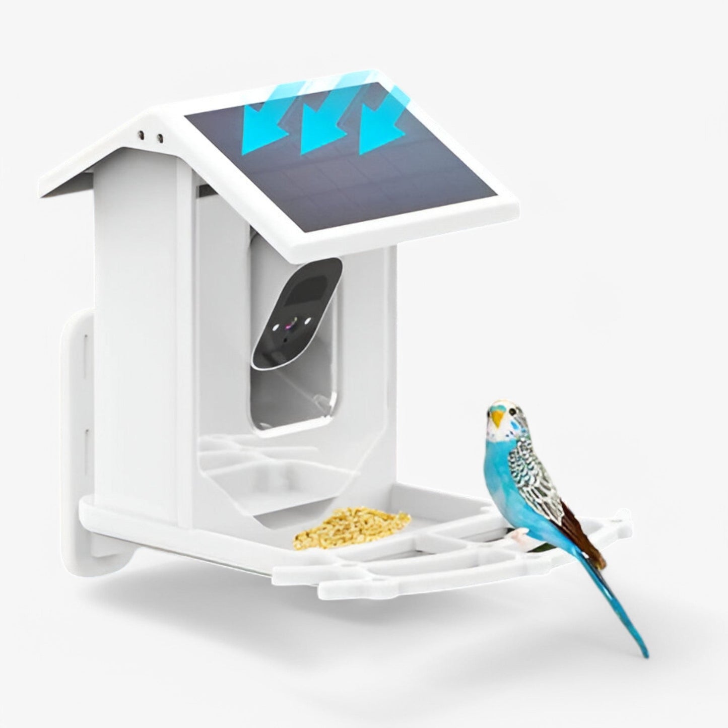 Auxco | Intelligenter Vogelbr feeder