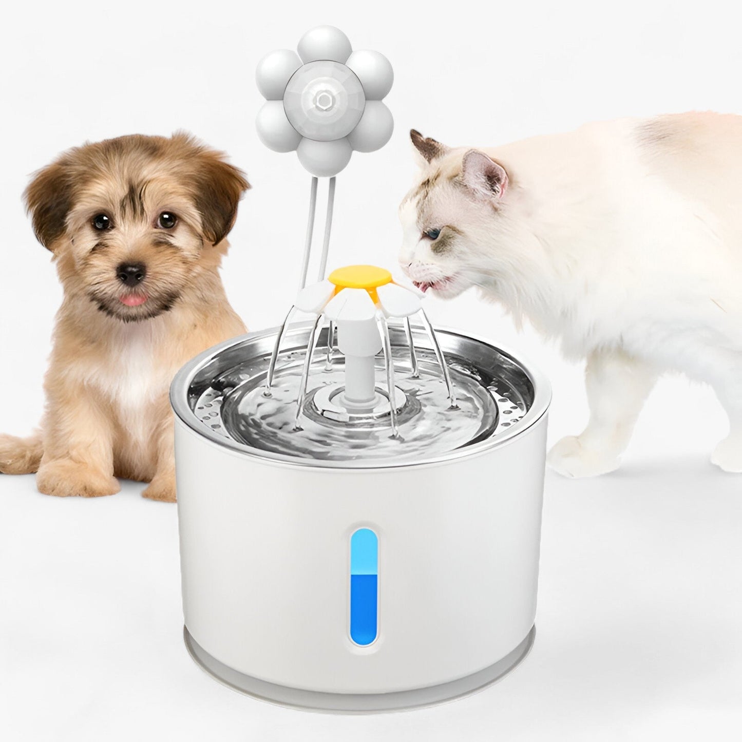 Automatischer Wasserspender - Gefiltertes frisches Wasser für Haustiere