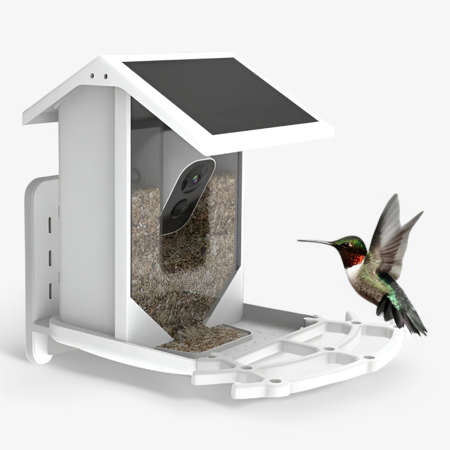 Auxco | Intelligenter Vogelbr feeder