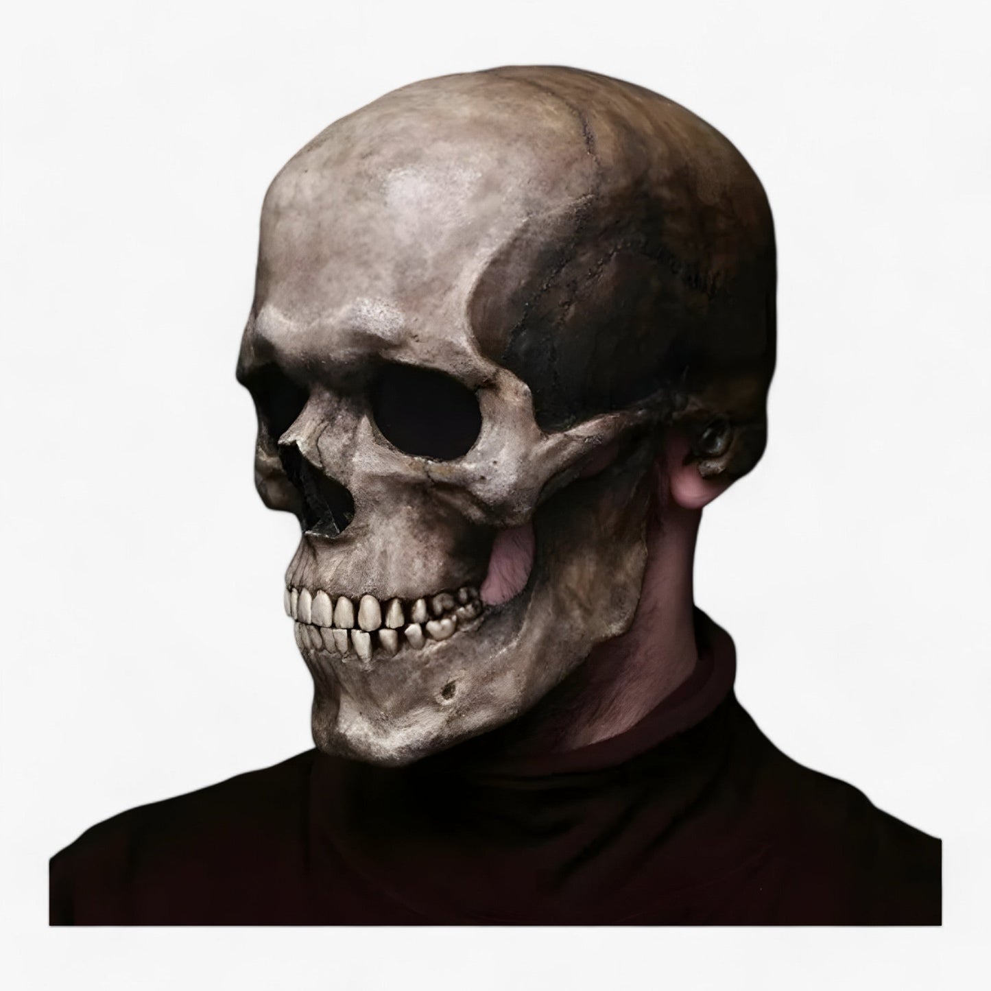 Vollkopf-Skelettmaske - Beweglicher Kiefer für einen erschreckenden Halloween-Effekt
