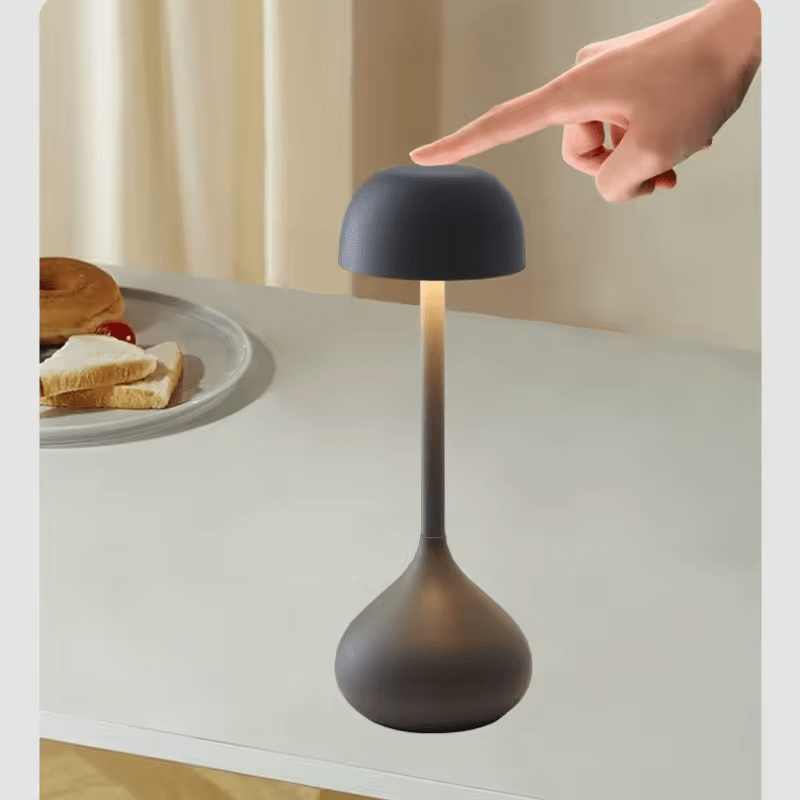 ZenTouch™ Beleuchten Sie Ihren Raum mit einer einfachen Berührung