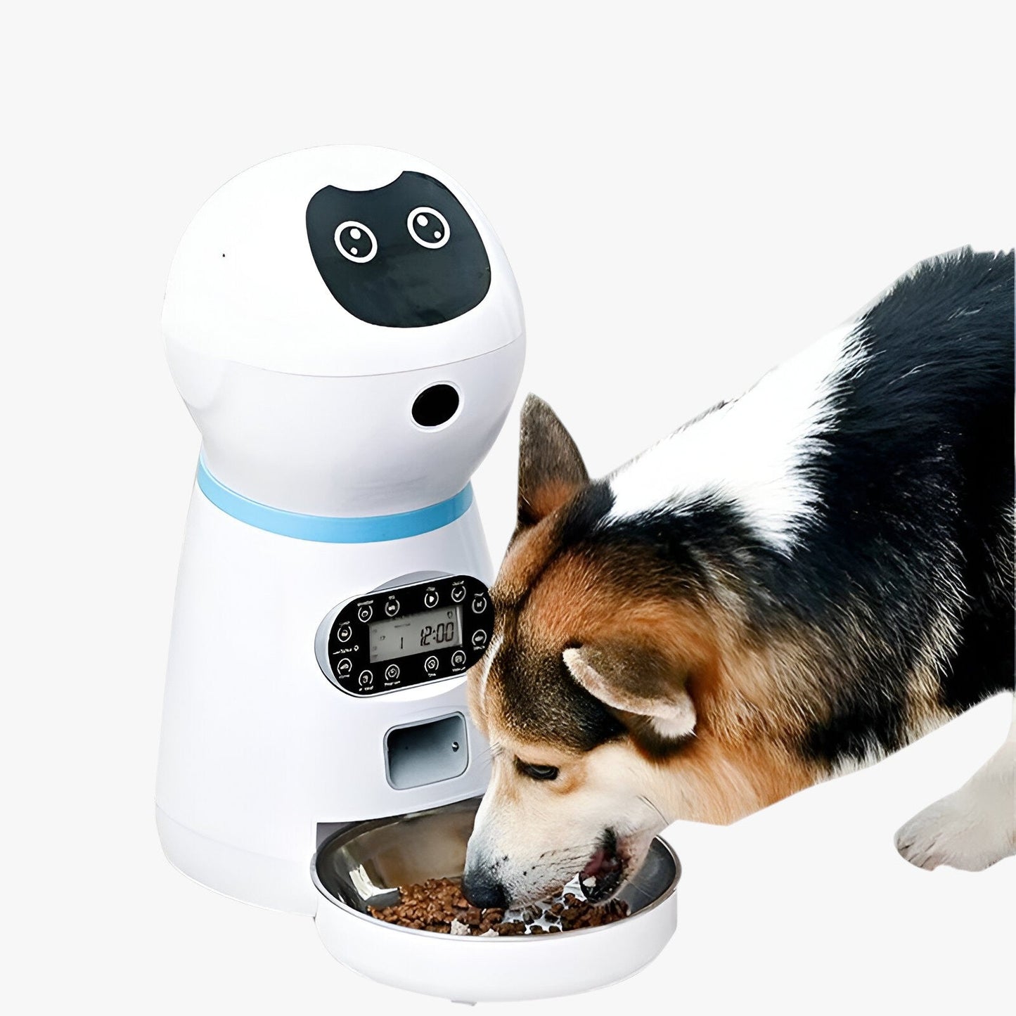 Automatischer Futterspender für Tiere | Intelligenter Automatischer Futterspender - Praktische Ernährung