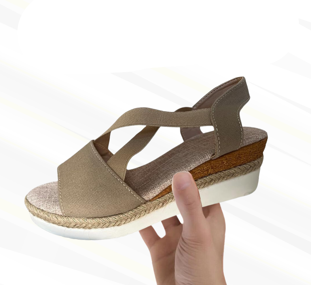 HikeHub - OrthoStella