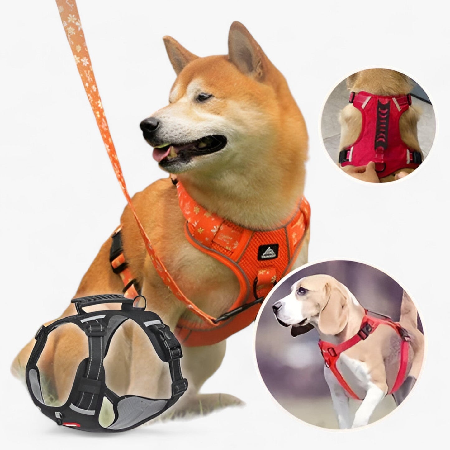 Buddy | Hunde-Anti-Zug-Geschirr - Verbesserte Kontrolle