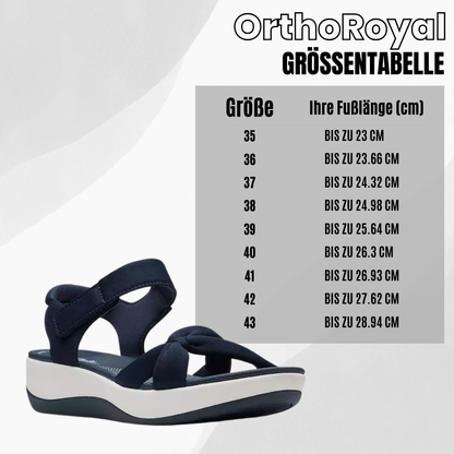 HikeHub - OrthoRoyal