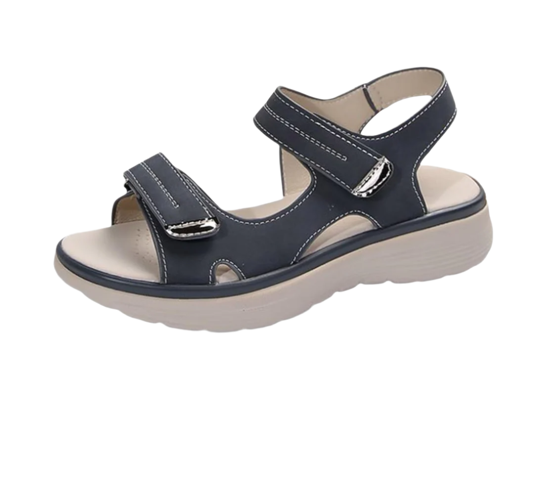 HikeHub - OrthoTerrax