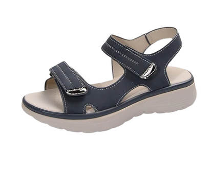 HikeHub - OrthoTerrax