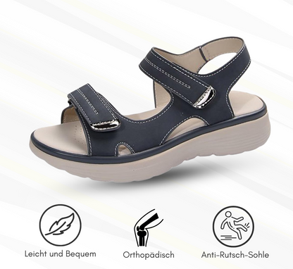 HikeHub - OrthoTerrax