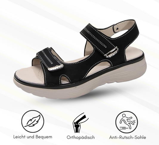 HikeHub - OrthoTerrax