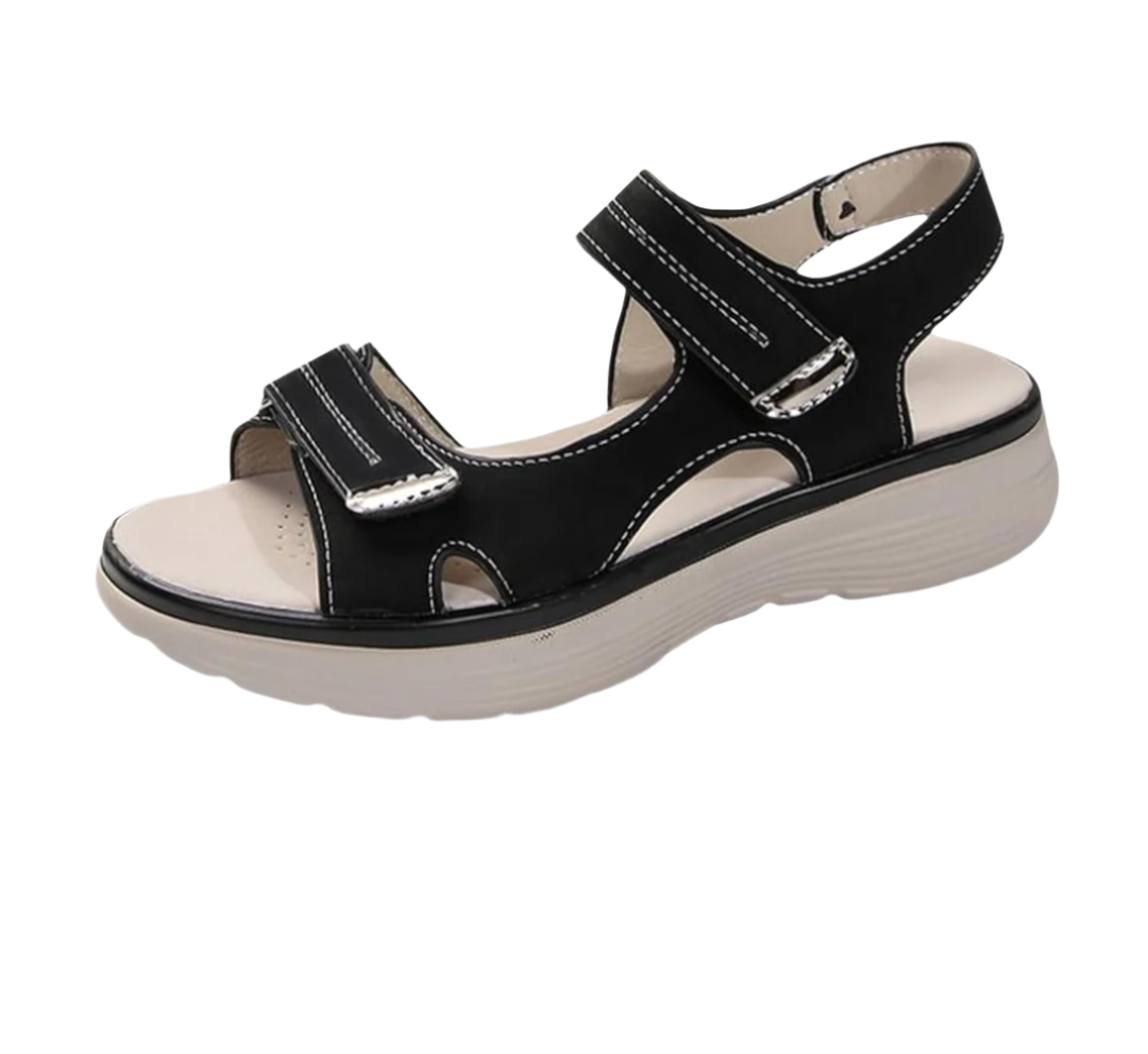 HikeHub - OrthoTerrax