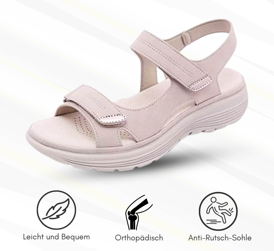 HikeHub - OrthoTerrax