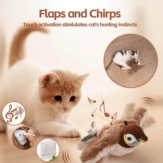 Chirp™ - Schluss mit der Langeweile - Ihre Katze bleibt aktiv und glücklich!
