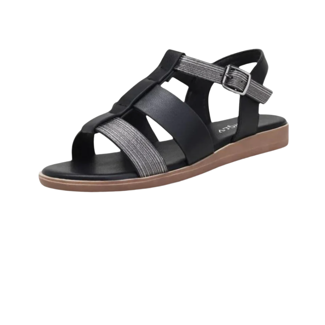 HikeHub - OrthoSun Pro