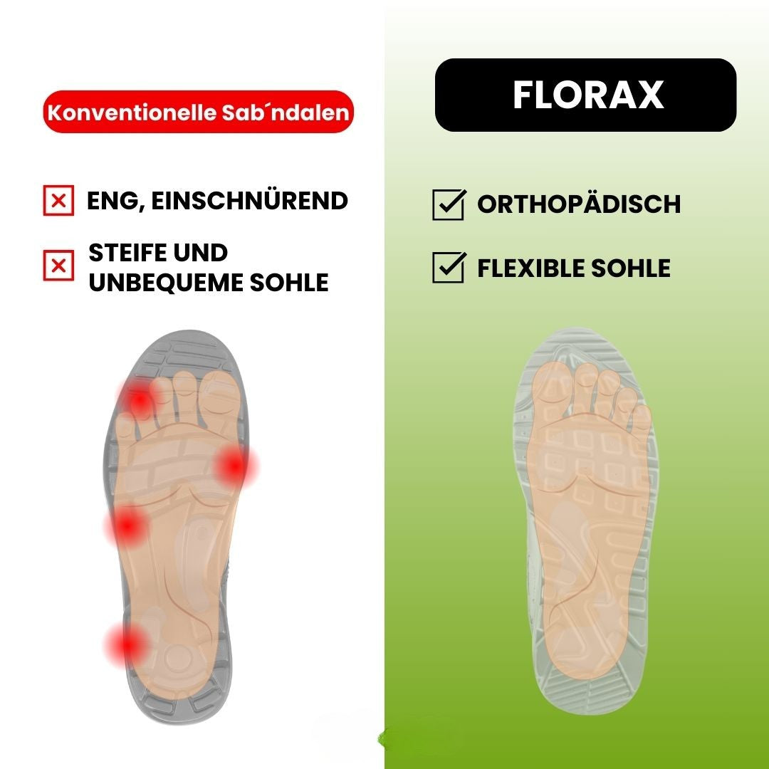 HikeHub - Florax