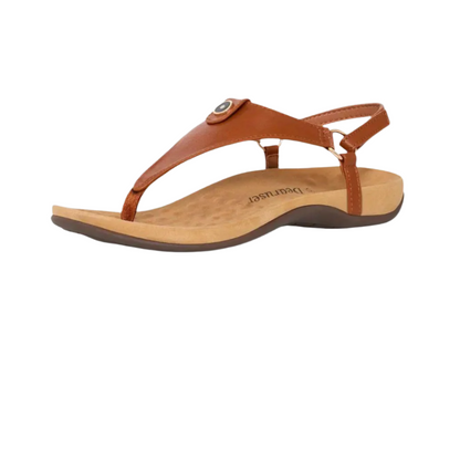 HikeHub - OrthoSenna