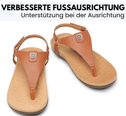 HikeHub - OrthoSenna