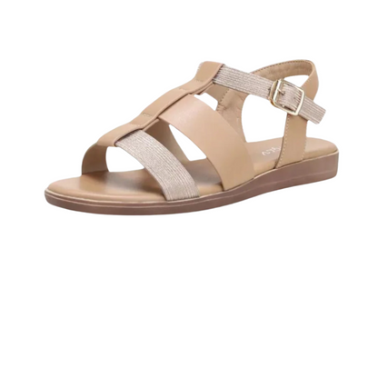 HikeHub - OrthoSun Pro