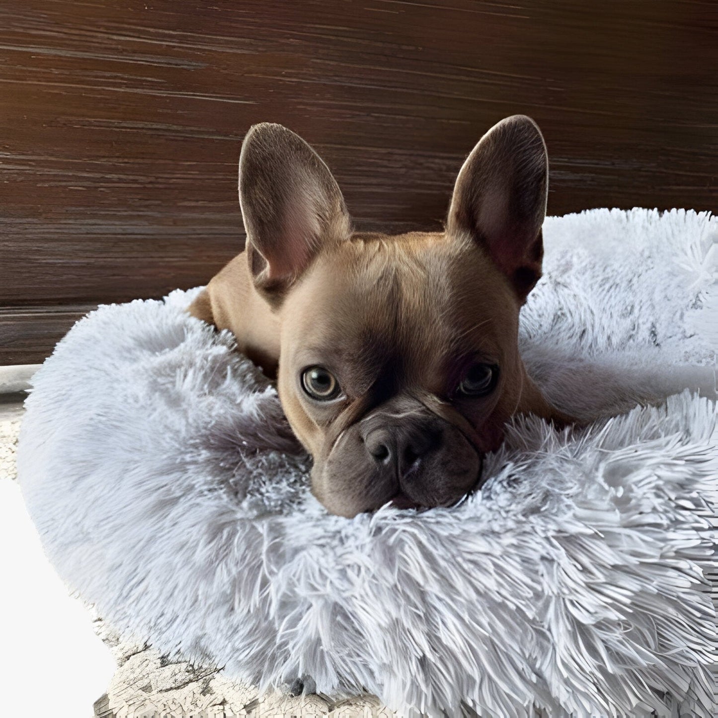 Fluffy Beruhigungsbett™