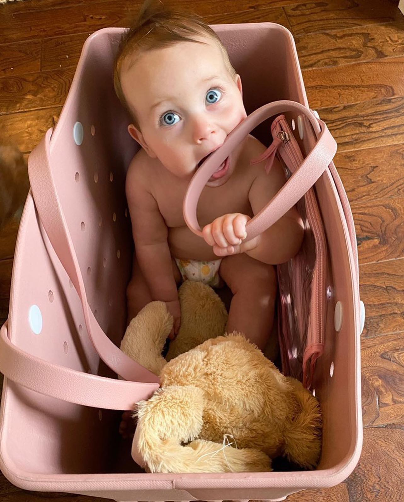 MummyBag Pro™ - Wasserdichte Strandtaschen