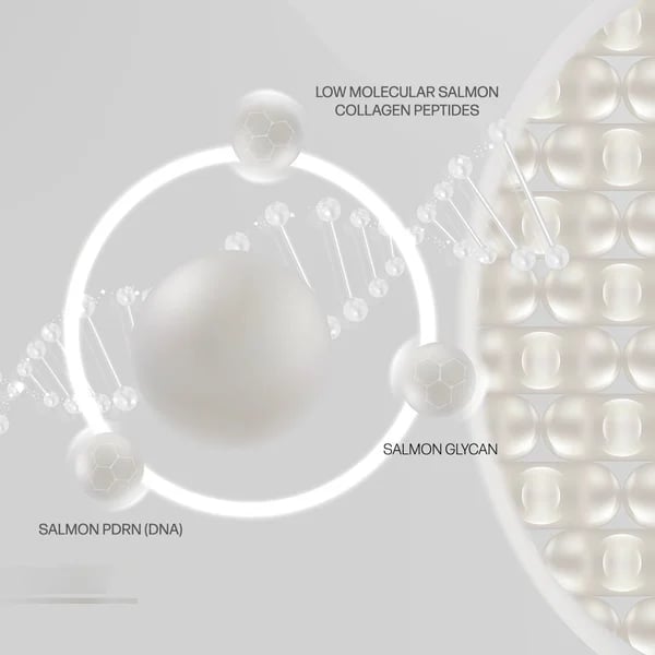 DermaFirm™ Pro | Das Kollagennetz der Haut wiederherstellen