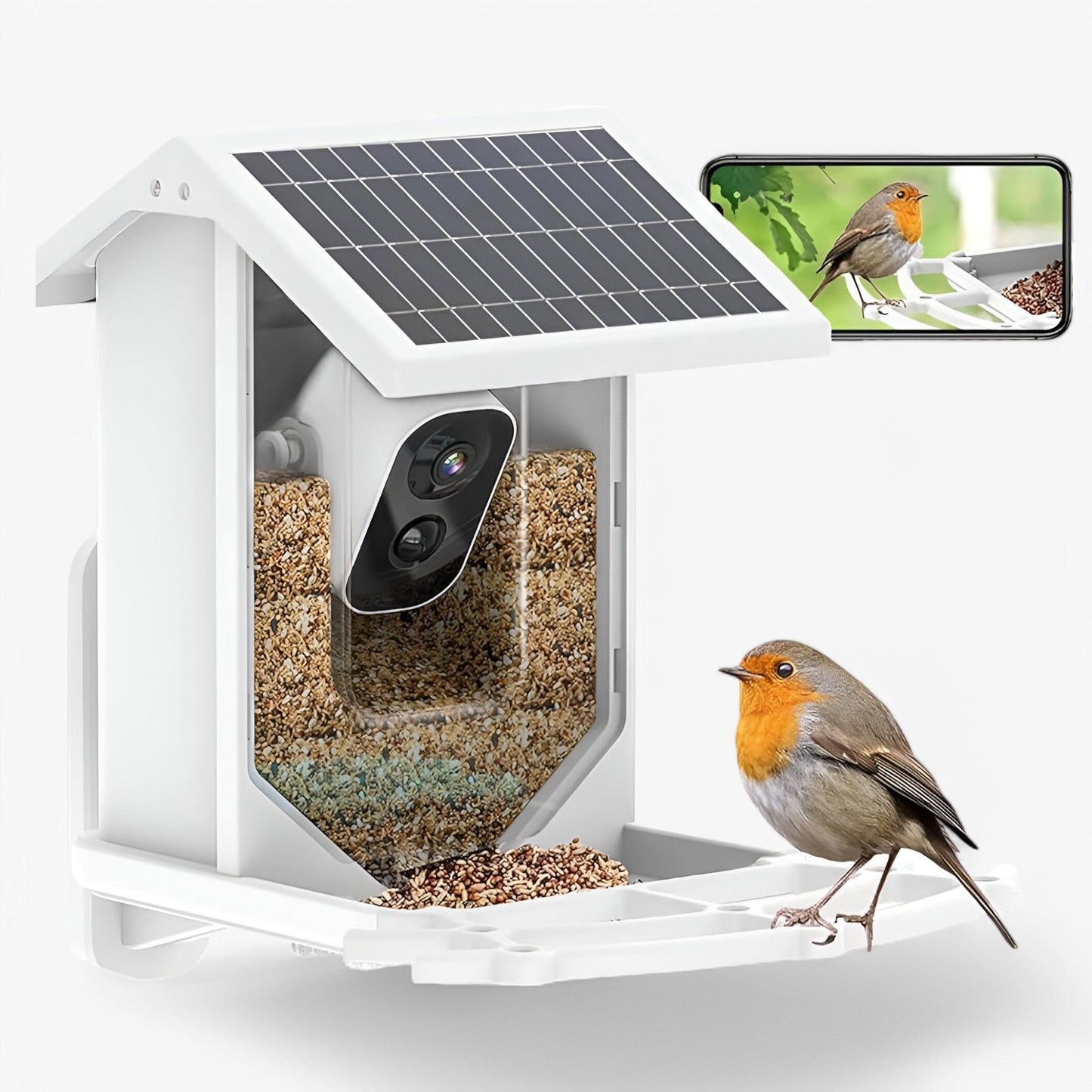 Auxco | Intelligenter Vogelbr feeder