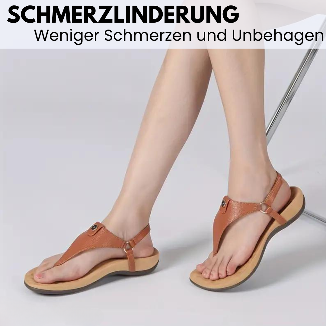 HikeHub - OrthoSenna