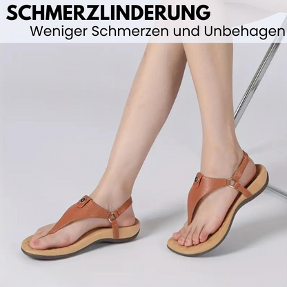 HikeHub - OrthoSenna