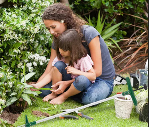 RootRanger™ Einfach, schnell und ohne Bücken