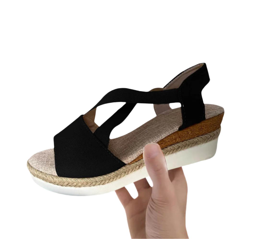 HikeHub - OrthoStella