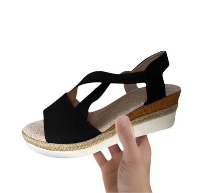 HikeHub - OrthoStella