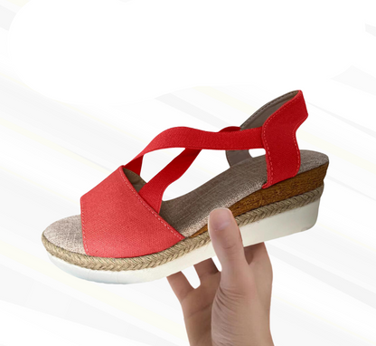 HikeHub - OrthoStella