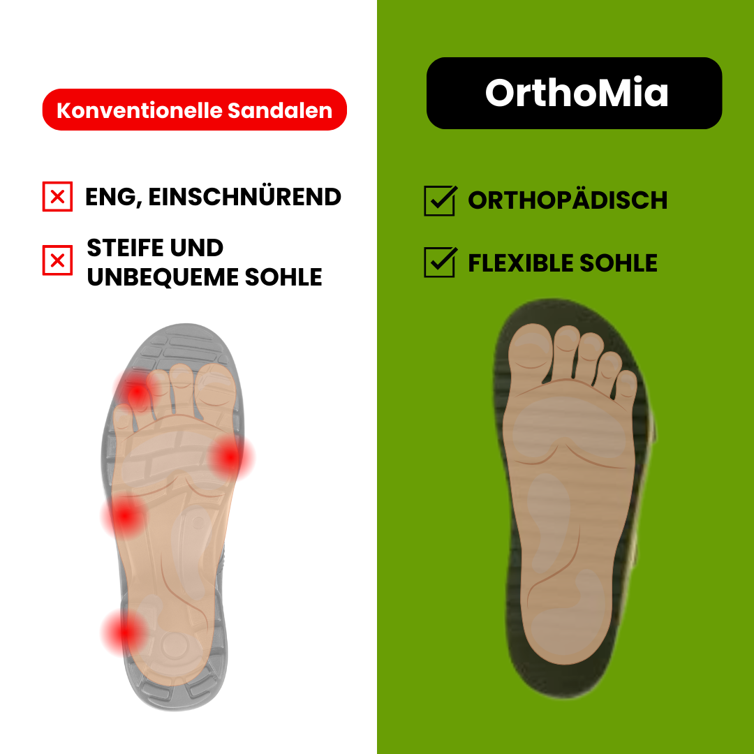 HikeHub - OrthoMia