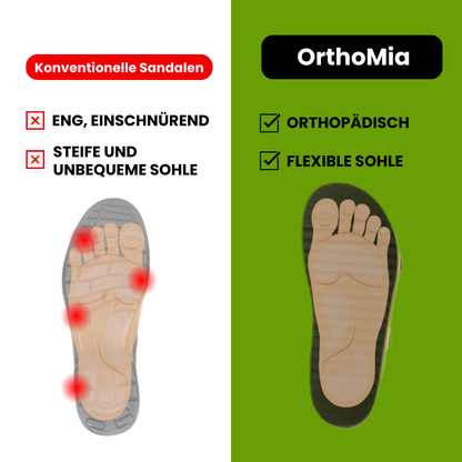 HikeHub - OrthoMia