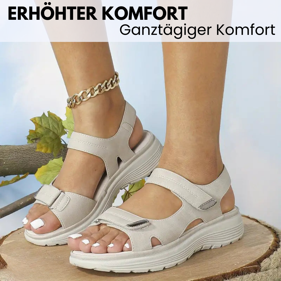 HikeHub - OrthoTerrax