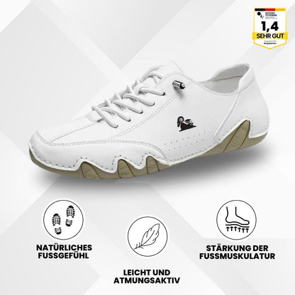 HikeHub - OrthoActive