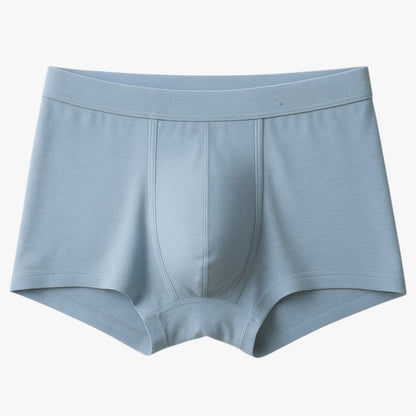 Leo | Herren Slips - Atmungsaktiv und nahtlos (5+5 gratis)