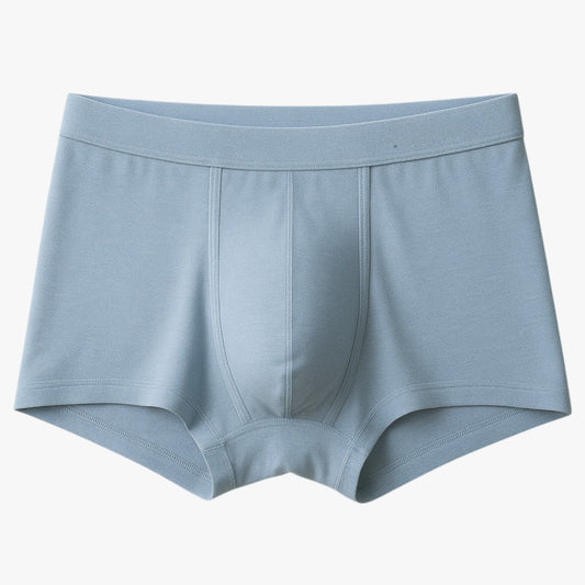 Leo | Herren Slips - Atmungsaktiv und nahtlos (5+5 gratis)