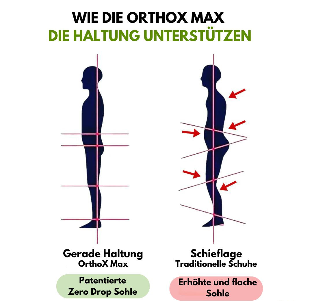 HikeHub - OrthoX Max