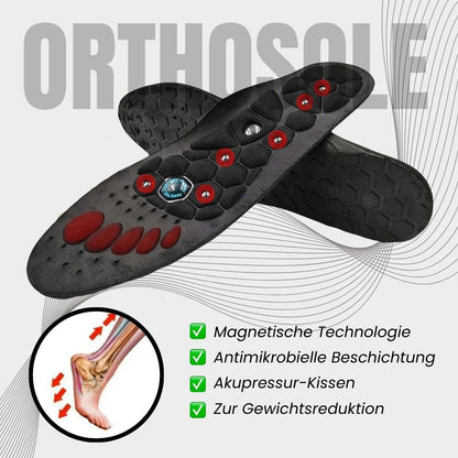 HikeHub - Orthosole