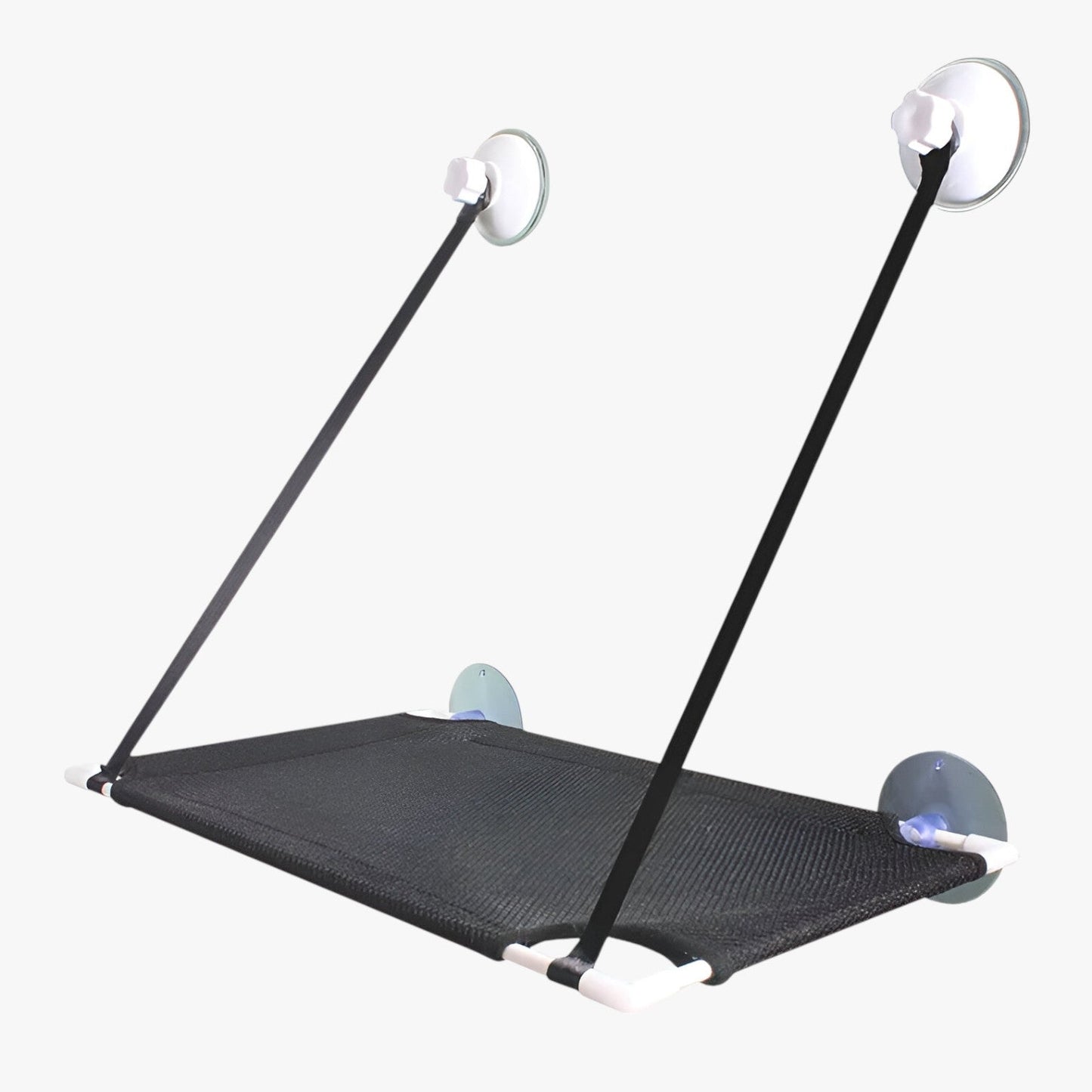 Simba | Sonnige Fensterkatze