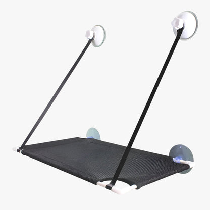 Simba | Sonnige Fensterkatze