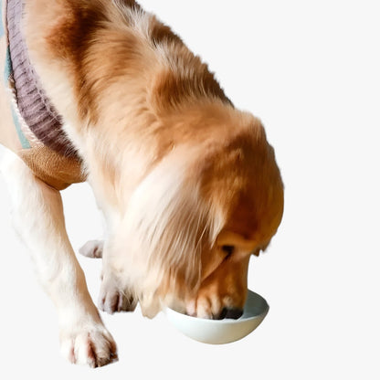 Major | Rutschfeste Silikon-Futterschüssel