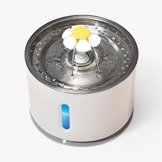 Automatischer Wasserspender - Gefiltertes frisches Wasser für Haustiere