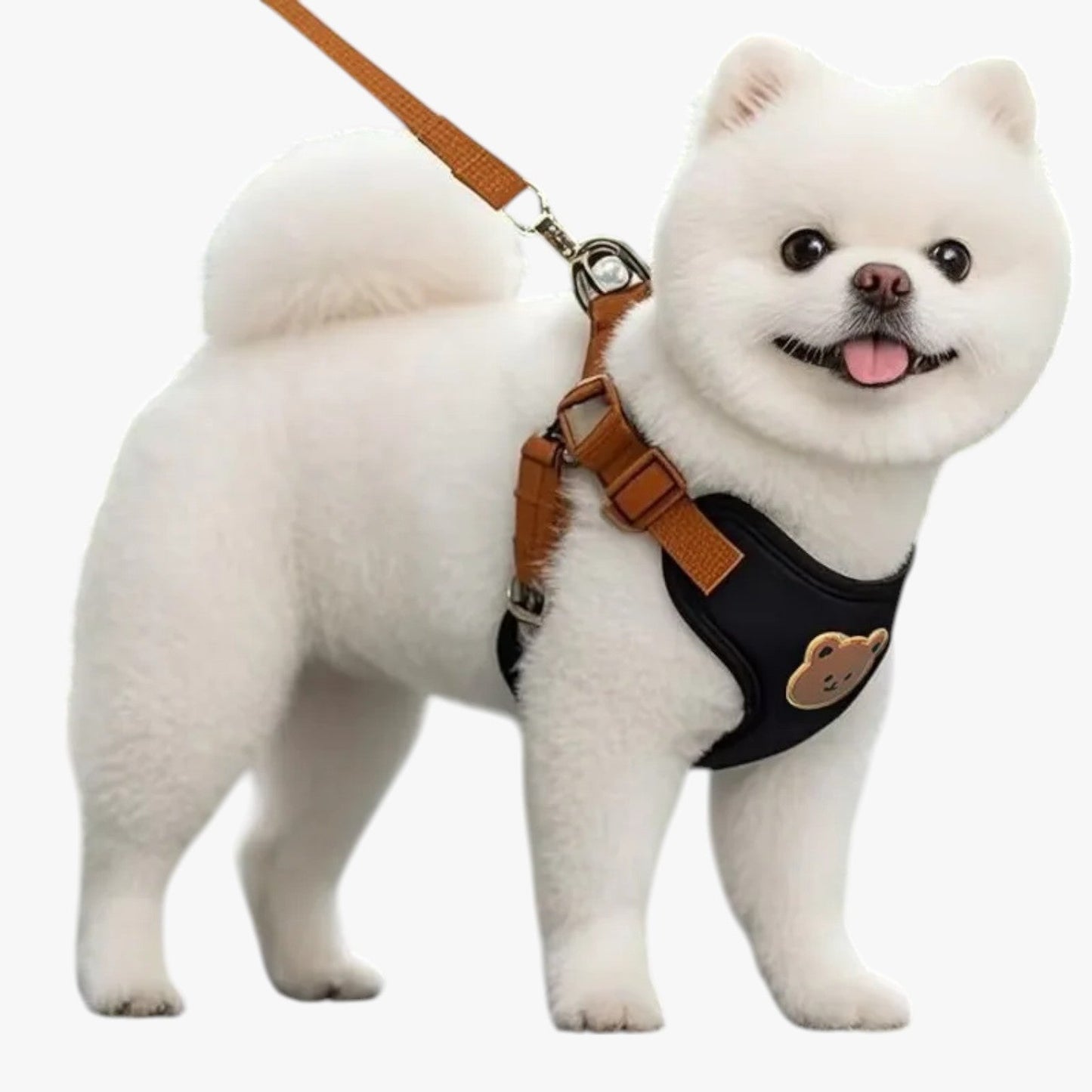 Marineblau | Atmungsaktives Geschirr mit Leine für kleine Tiere